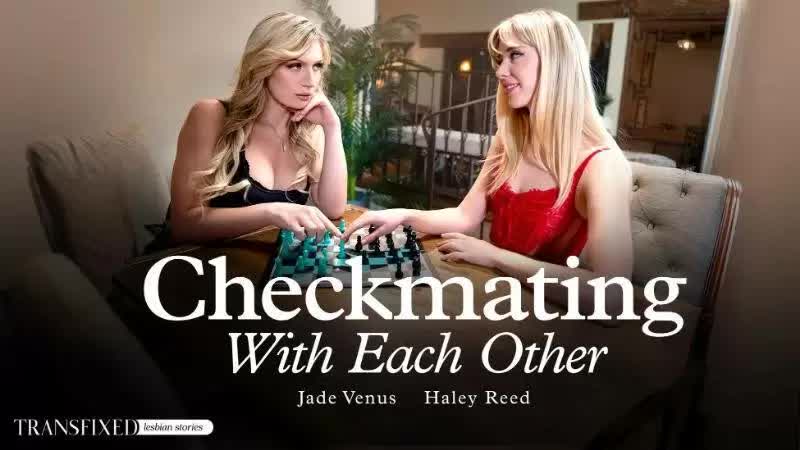 Transfixed Jade Venus, Haley Reed Checkmating With Each Other Porn Video